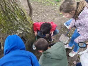 Intervention Ecopousse en CP